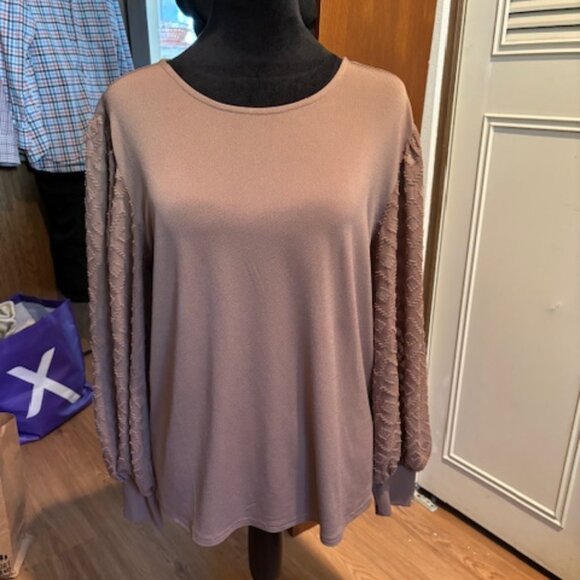Nordstrom NWOT Taupe Long Embroidered Balloon Sleeve Blouse Small - Picture 1 of 5